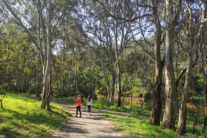 Melbourne Tours Walk the Yarra & Historic Boathouse Lunch - The Flying Fox Colony Stop: Up Close With Up to 50,000 Bats