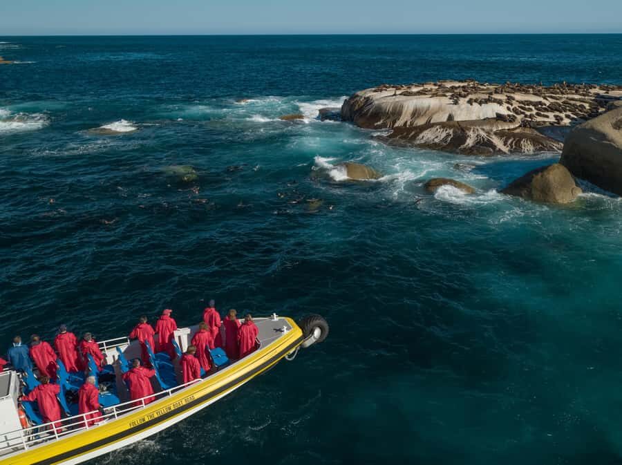 Melbourne: Wilsons Promontory Morning Wilderness Cruise - Key highlights that make this cruise worth your morning
