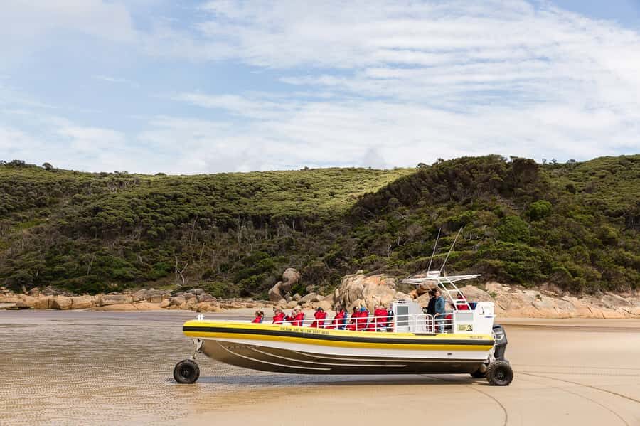 Melbourne: Wilsons Promontory Morning Wilderness Cruise - Amelia-sized water thrill: what the amphibious boat changes for you