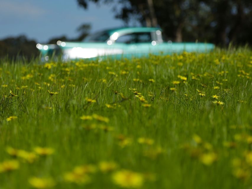 Melbourne: Yarra Valley Food & Wine Tour in a '56 Chevrolet - Winery tour and tasting: how the day stays flexible