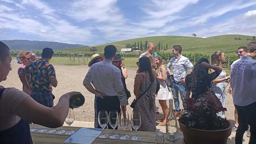 Melbourne: Yarra Valley Wine, Gin, Whisky and Chocolate Tour - Should you book the Melbourne Yarra Valley wine, gin, whisky, and chocolate tour?