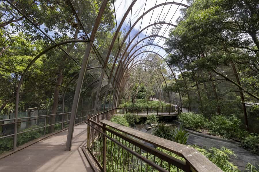 Melbourne Zoo: Australian Wildlife Experience Ticket - Should You Book This Melbourne Zoo Wildlife Experience Ticket?