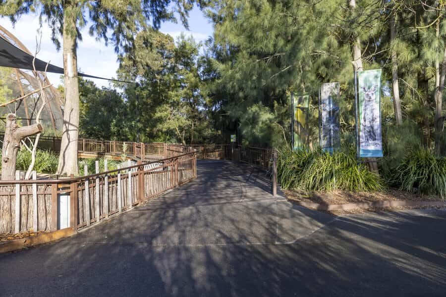 Melbourne Zoo: Australian Wildlife Experience Ticket - Koalas Karri and Waru: The Best Starter Stop for Animal Time