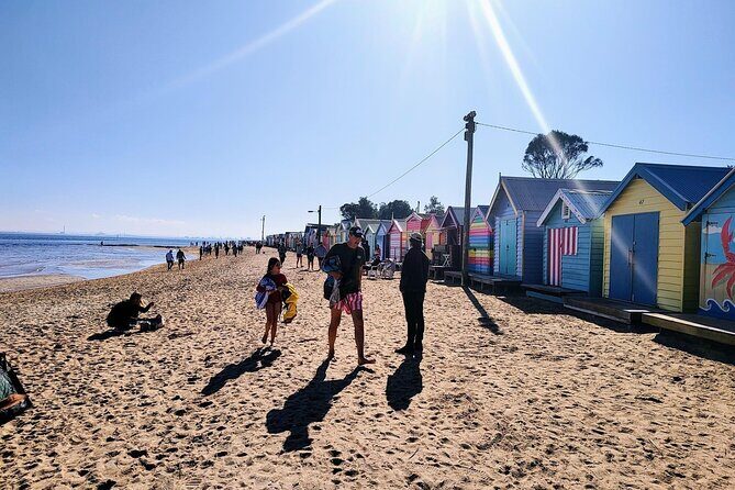 Moonlit Sanctuary and Brighton Beach Boxes Half Day Tour - Price and value: is $74.59 worth it?