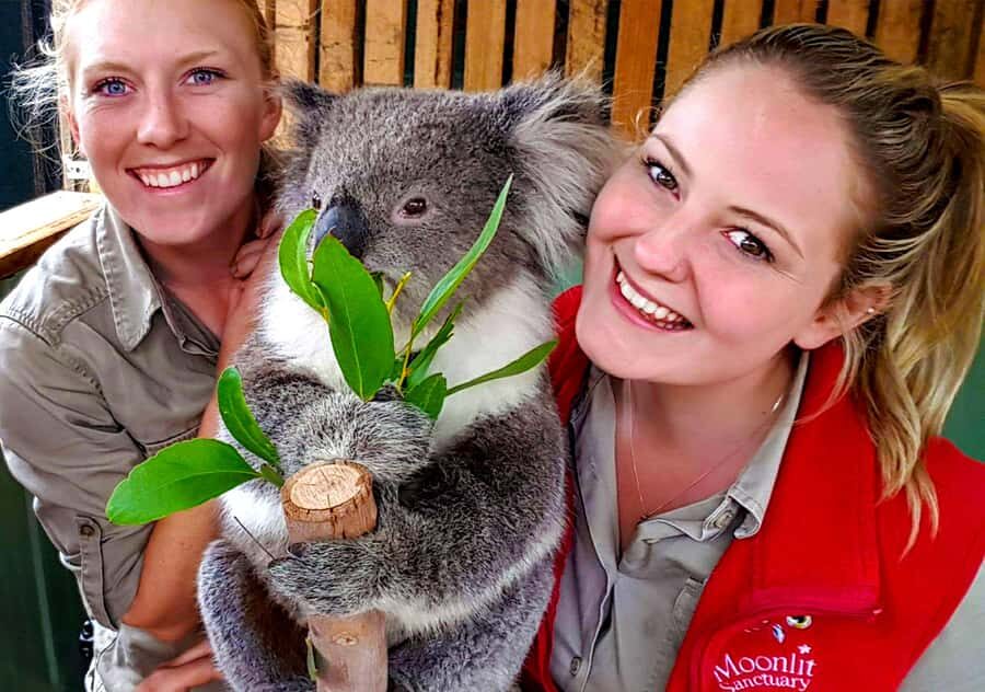Moonlit Sanctuary Conservation Park Entry Ticket - Key highlights worth planning around