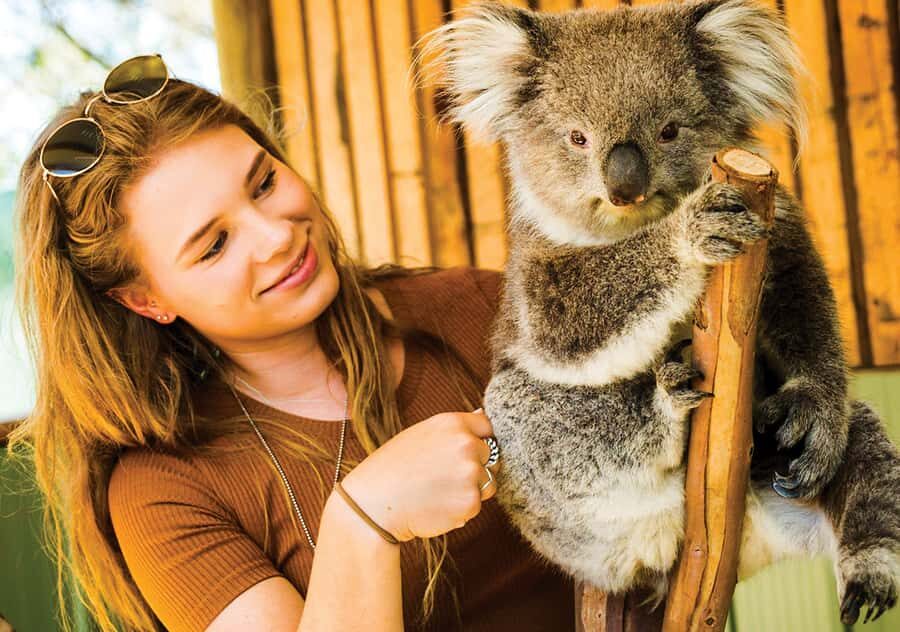Moonlit Sanctuary Conservation Park Entry Ticket - Enter 10 Hectares of Bushland (Not a Copy-Paste Zoo)