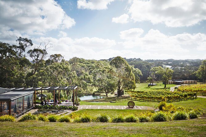 Mornington Peninsula Luxury Lunch, Wine Tasting & Pt Leo Art Walk - Montalto: premium wine tasting plus a sculpture-walk option