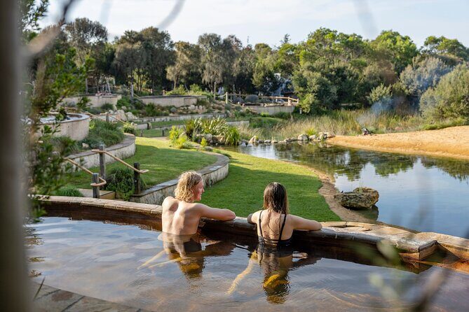Mornington Peninsula Small Group Thermal Springs w/ Lunch & Wine - Small-Group Comfort: The Coach Setup Actually Matters