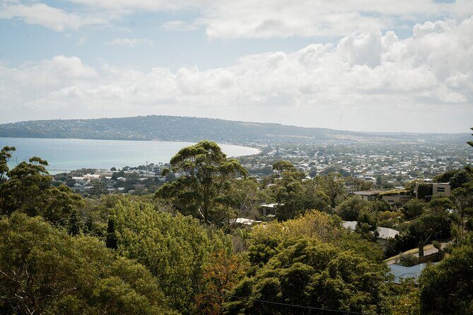 Mornington Peninsula Small Group Thermal Springs w/ Lunch & Wine - Should You Book This Tour?