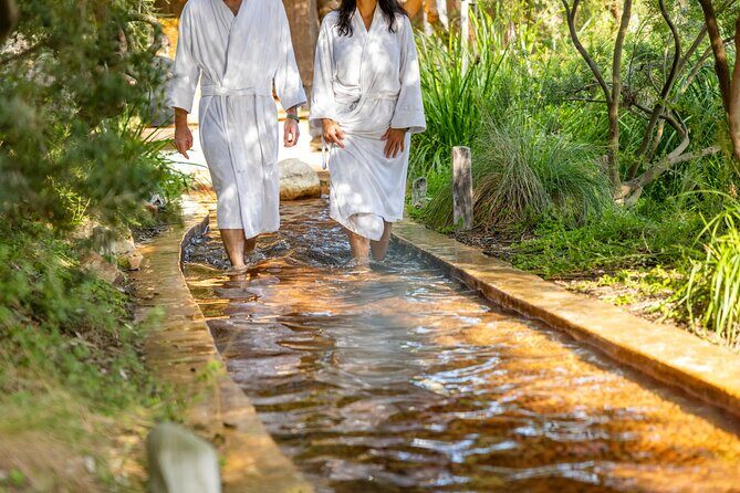 Mornington Peninsula Small Group Thermal Springs w/ Lunch & Wine - Arthur’s Seat Lookout: The Gentle 100-Meter Walk to 305 Meters