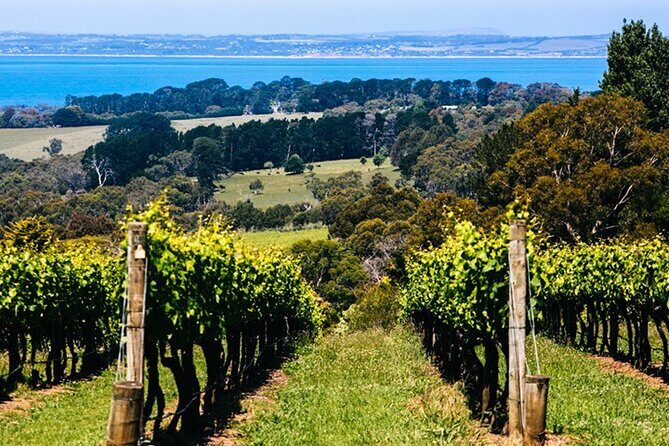 Mornington Peninsula Winery, Beer and Spirits Tour - Lunch choices at T’Gallant and Green Olive (plus the brewery backup)