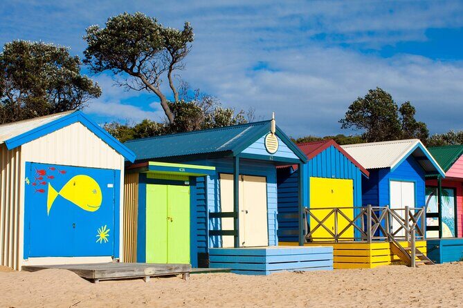 Mornington Peninsula Winery Bus Tour including lunch with a glass of wine - Stop 2: T’Gallant Vineyard for rustic tastings with experts