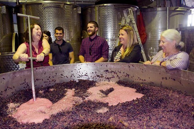Mornington Peninsula Winery Tour - Lunch Included - Key Things To Know Before You Go