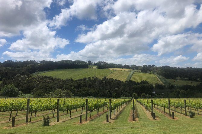 Mornington Peninsula Winery Tour - Lunch Included - Stop 4: Mont Rouge Estate (Final Tastings to Confirm Your Favorites)