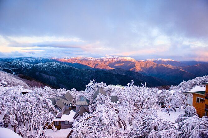 Mount Buller Sightseeing Tour - Mt Buller Time: Village Exploring, Sled Fun, and Lessons