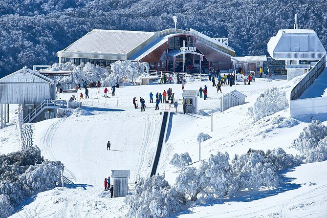 Mount Buller Sightseeing Tour - The Value Question: Does $99.70 Feel Like a Good Deal?