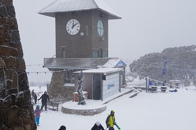 Mt Buller Day Trip from Melbourne - Key points before you go