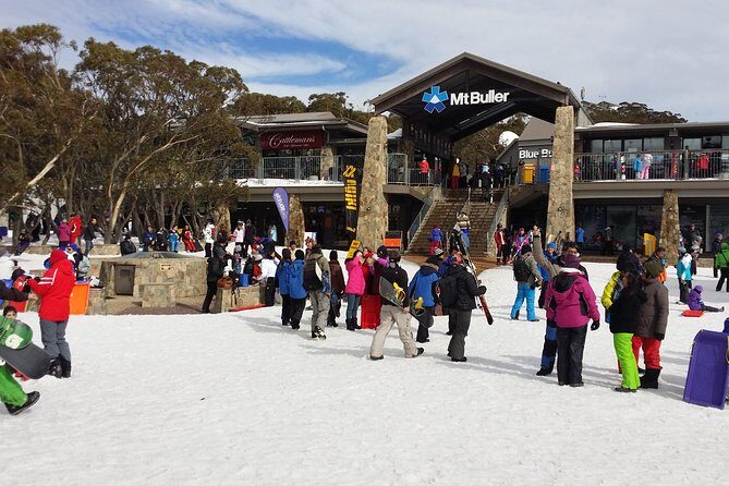 Mt Buller Day Trip from Melbourne - Why a Mt Buller day trip beats DIY in winter