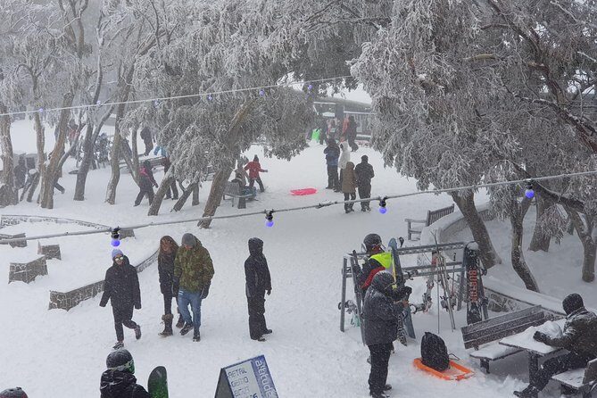 Mt Buller Day Trip from Melbourne - Mt Buller summit time: 7 hours to ski, lesson, or snow walk