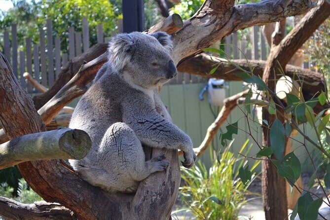 Peninsula Nature Tour - Chapmans Point: A Photo Finish with a Tiny Bush Walk
