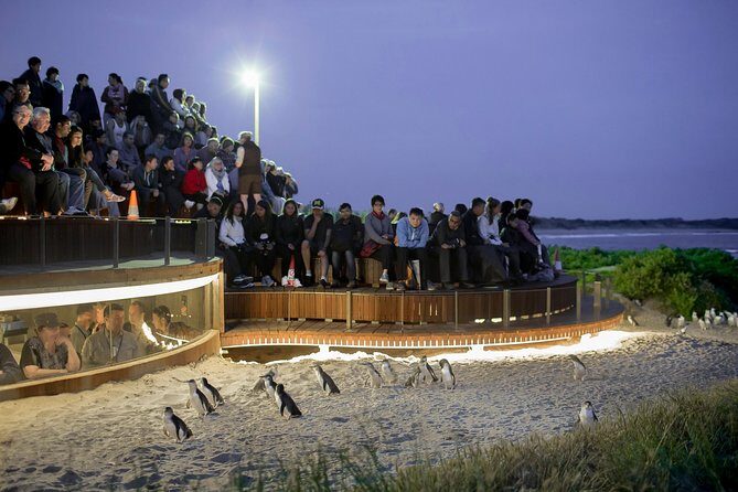 Phillip Island Day Trip from Melbourne with Penguin Plus Viewing Platform - Koala Conservation Reserve: a guided walk where the trees matter