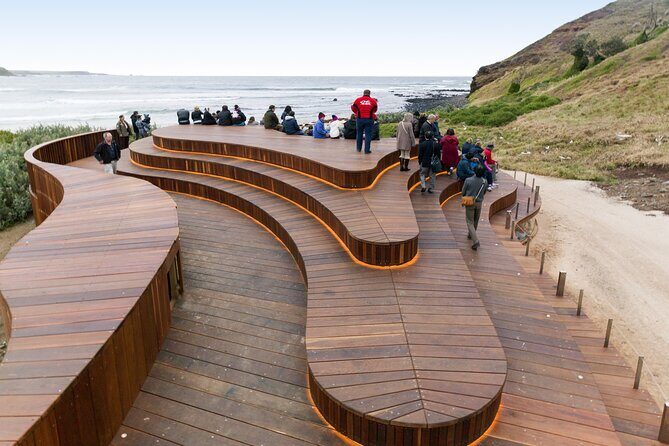 Phillip Island Day Trip from Melbourne with Penguin Plus Viewing Platform - Price and value: why $172.14 can work for the right traveler