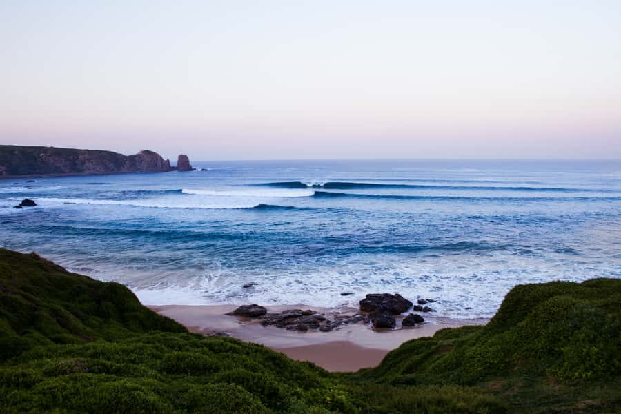 Phillip Island: Hike and Penguin Parade - 8 pax Small Tour - Key Points Before You Go