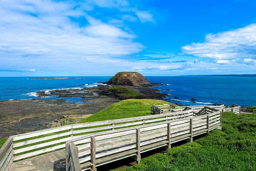 Phillip Island: Hike and Penguin Parade - 8 pax Small Tour - Phillip Island Koala Reserve: Boardwalks for a Close Wildlife Moment