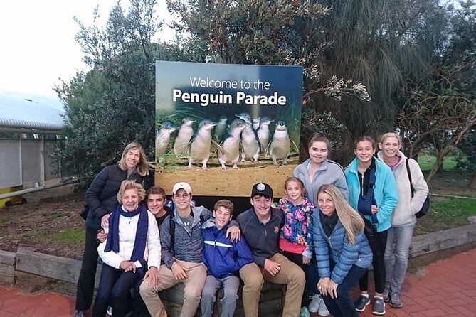 Phillip Island Medium Size Group Tour - What you get for $114.76: value math that actually holds up