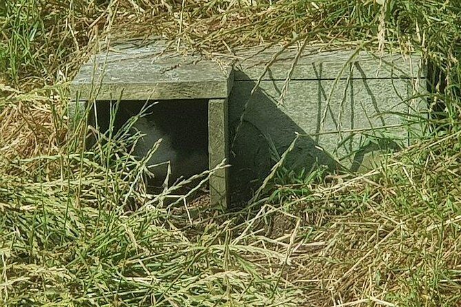 Phillip Island Penguin and wildlife Tour - The Nobbies Centre: seals, a boardwalk, and wind you should respect
