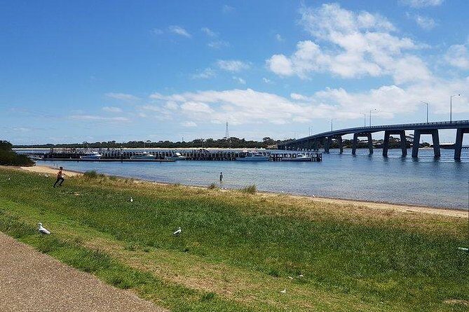 Phillip Island Penguin and wildlife Tour - Penguin Parade: the main event, plus why timing and cold matter