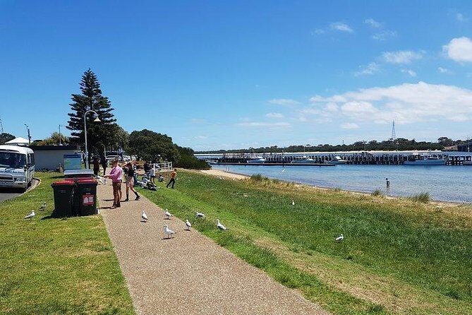 Phillip Island Penguin and wildlife Tour - What the guide adds: funny, caring, and explanation-heavy moments