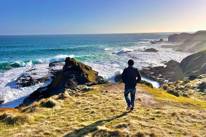 Phillip Island & Penguin Parade Afternoon Eco Tour from Melbourne - Key things to know before you go