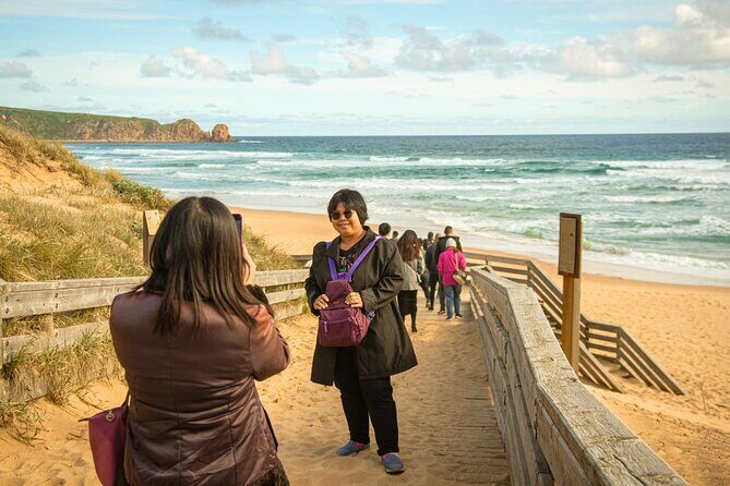 Phillip Island Penguin Parade Express Tour from Melbourne - Key things to know before you go