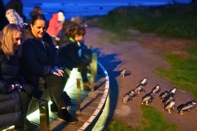 Phillip Island Penguin Parade Express Tour from Melbourne - The drive and the guide: where the time actually goes
