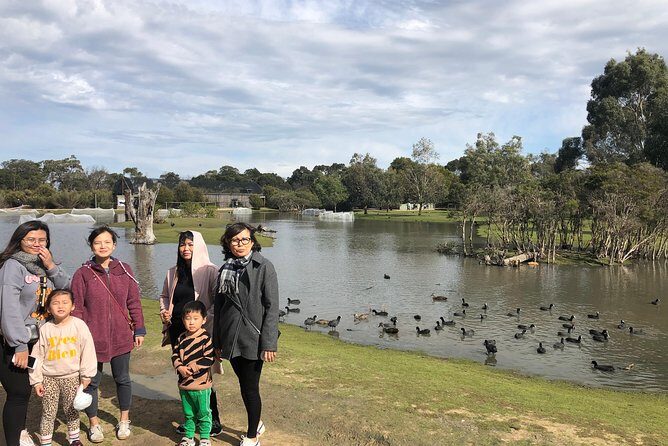 Phillip Island Penguins Private Adventure - Koala Conservation Reserve: your best shot at real, close-to-nature sightings