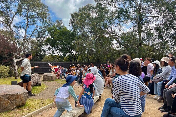 Phillip Island Penguins & Wildlife Day Tour from Melbourne - What to Bring and How to Avoid Common Frustrations
