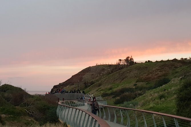 Phillip Island Private Experience - Clifftop Boardwalks and Wildlife Along the Coast