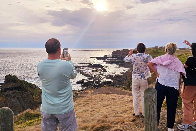 Phillip Island Wildlife Cruise and Penguin Tour from Melbourne - Penguin Parade at Sunset: The Main Event, Done With Premium Seating