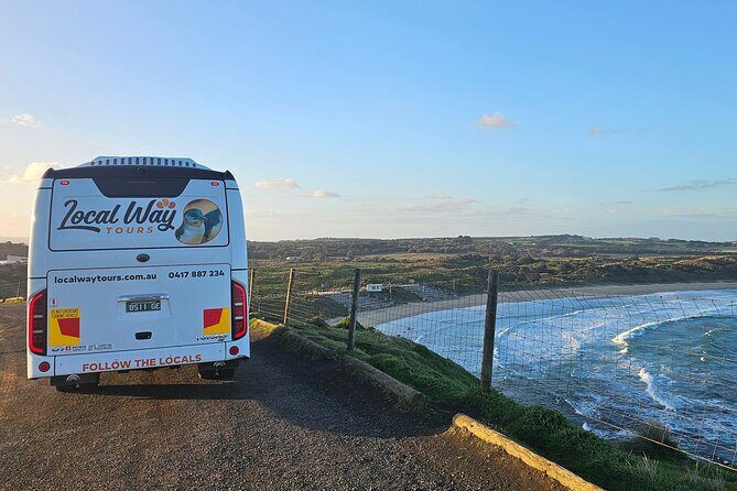 Phillip Island Wildlife Cruise and Penguin Tour from Melbourne - Optional Koala Conservation Reserve: A Smart Swap If You Want More Wildlife