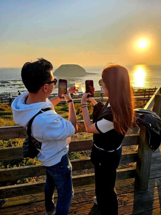 Phillip Island: Wine, Wildlife & Penguins with Gourmet Feast - Price and Logistics: what you’re really paying for