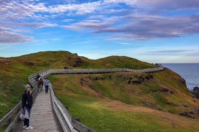 Premium Small Group Philip Island eco Tour - Cowes: where dinner and a sea-pier stroll fit the rhythm of the day