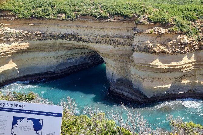 Private 12 Apostles Express Tour - Shorter - Who This Tour Fits Best (and Who Might Want a Different Style)