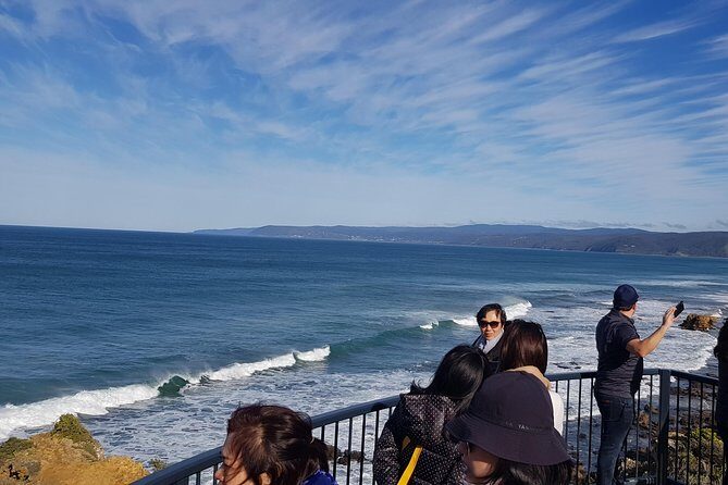 Private 12 Apostles Express Tour - Shorter - Pickup, Vehicle Comfort, and How the Day Stays Smooth