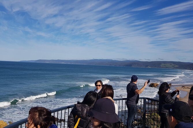 Private and Customised Great Ocean Road and Luxury Tour - Apollo Bay lunch at your speed: fish and chips is a smart default