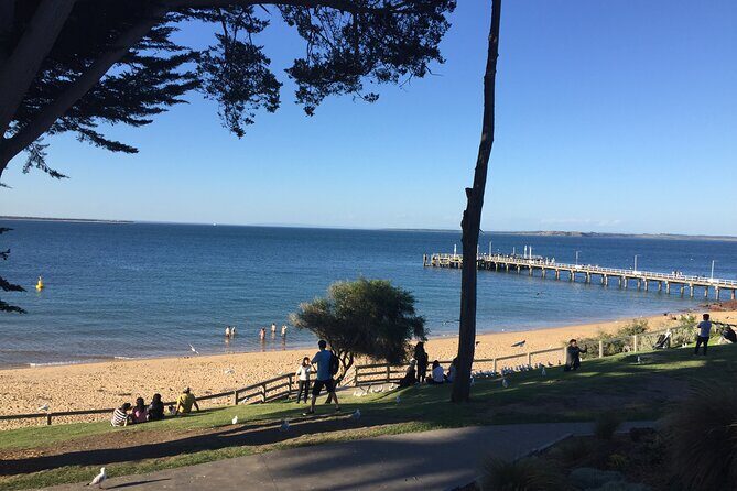 Private custom Tour of Phillip Island With Penguin Parade - Private guide power: luxury vehicle, local know-how, and real flexibility