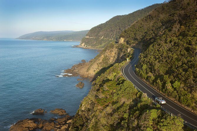Private Great Ocean Road and Twelve Apostles Tour from Melbourne - Private Great Ocean Road Value: When a Driver Makes Sense