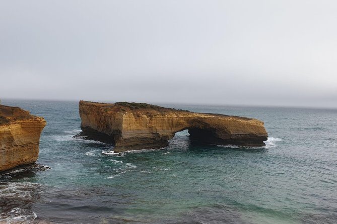 Private Great Ocean Road Day Trip from Melbourne - Kennett River: the koala chances in open wilderness