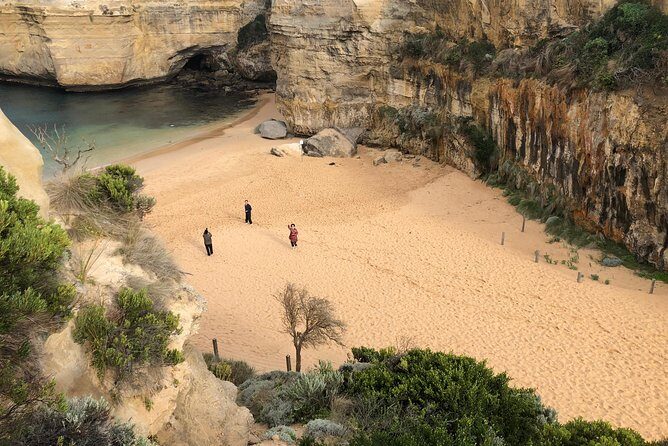 Private Great Ocean Road Local Experience - Why a private Great Ocean Road day feels easier than driving