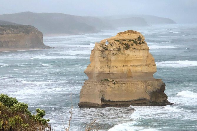 Private Great Ocean Road Local Experience - Kennet River’s wildlife focus: tree tops, native parrots, and quick steps